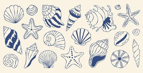 Mediterranean seashells vector set featuring blue hand drawn marine icons 스톡 일러스트