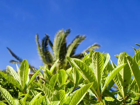 Mediterranean sky Stock Photos