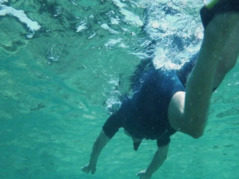 Mediterranean Snorkeling Vídeo Stock 80421684