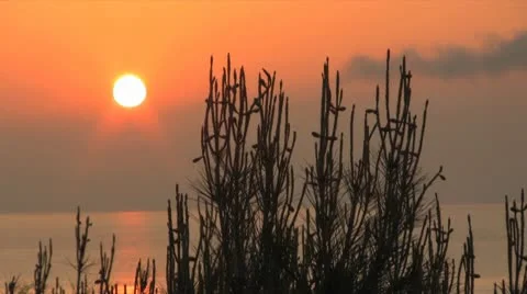 Mediterranean Sunrise 2 Video stock 9272425