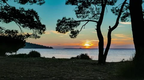 Mediterranean sunset through the pine trees. 4k Stock Footage 61204293