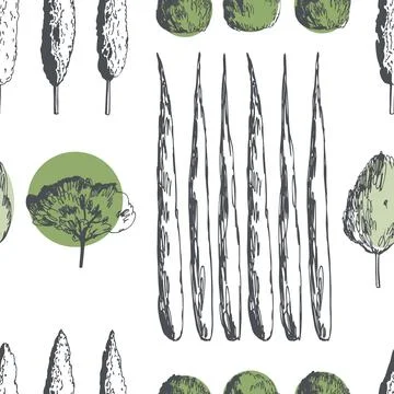 Mediterranean trees. Vector   pattern. Illustrazione stock