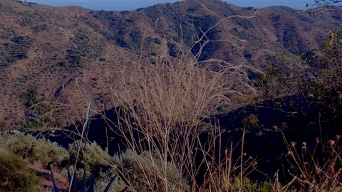 Mediterranean typical landscape, Stock Footage 115214921