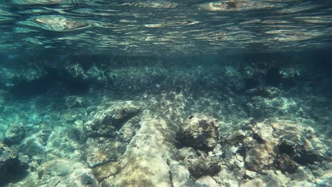 Mediterranean underwater, slow motion Stock Footage 249347975