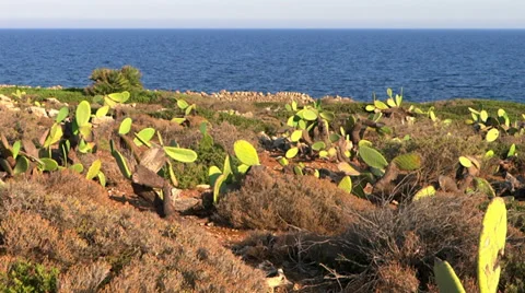 Mediterraneo Video stock 33421581