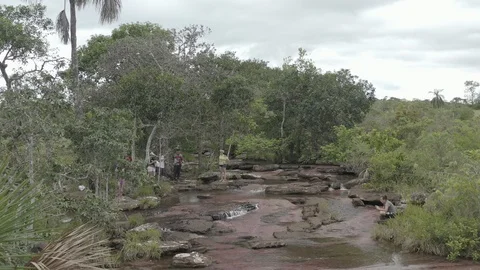 Medium aerial pulls back over the Tranquilandia river between palm trees Stock Footage 109186009