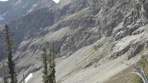 Medium Aerial pushes through trees to the mountainside on Maple Loop Trail Stock Footage 345177756