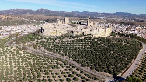 Medium Aerial Shot of Olive Fields and Hilltop Fortaleza de La Mota, Spain Stock Footage 311813963