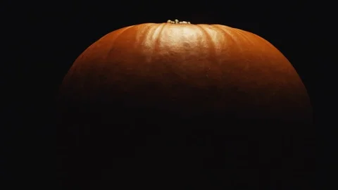 Medium and close up of rotating ripe pumpkin. Ready for halloween or a delicious 스톡 동영상 117798515