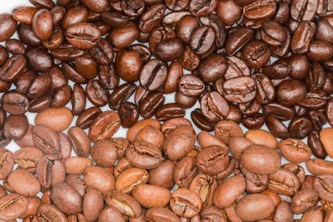 Medium and dark roasted coffee beans side by side Stock Photos