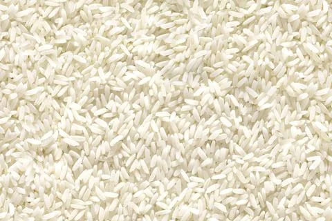 Medium and round grain white jasmine rice texture for background. Organic Foto stock