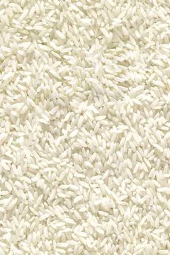 Medium and round grain white jasmine rice texture for background. Organic Stock Photos