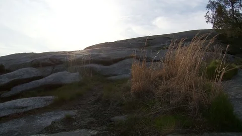Medium backlit shot of grasses on top of Stone Mountain, Georgia Video stock 74488525