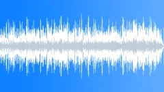 Medium Bounce Polished Acoustic BGM Stock Music