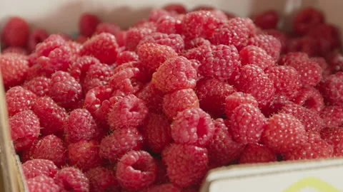 Medium Close up and pan of freshly picked raspberries in carton Stock Footage 134121451