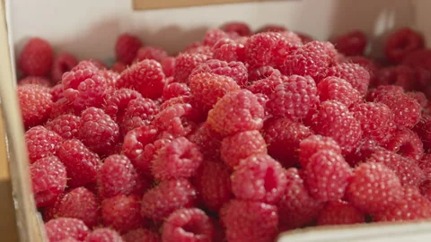 Medium Close up and pan of freshly picked raspberries in carton Stock Footage 134122798