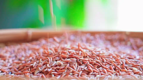 Medium Close up Brown rice pouring 50fps Vídeos de archivo 156077230