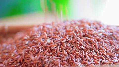 Medium Close up Brown rice pouring in basket 50fps Vídeos de archivo 156080430