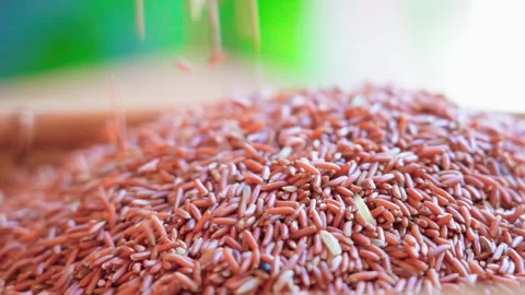 Medium Close up Brown rice pouring in basket slow motion 100fps Vídeos de archivo 156085166