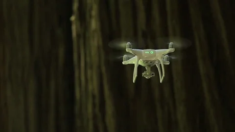 Medium close shot of drone flying in front of Redwood tree trunk Stock Footage 73025677