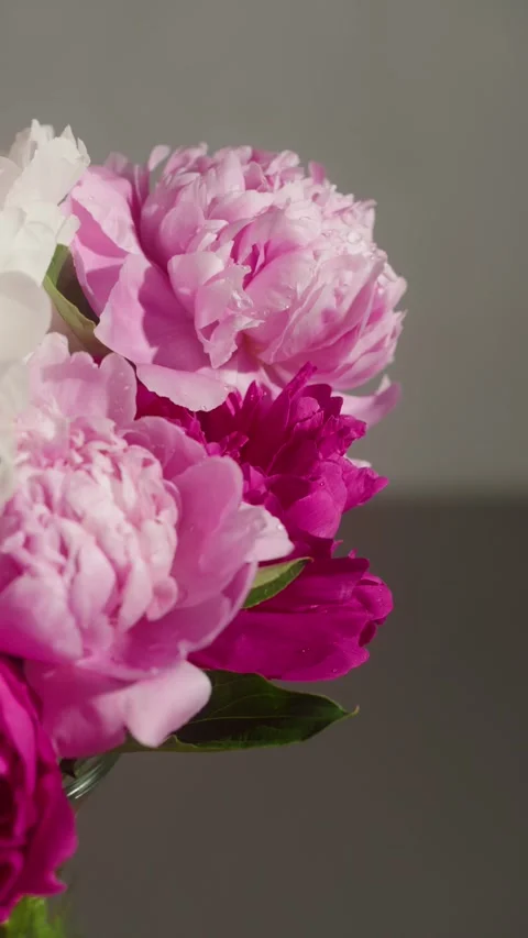 Medium Close Up of Water Droplets Falling on Pink Peony Bouquet Stock Footage 302306927