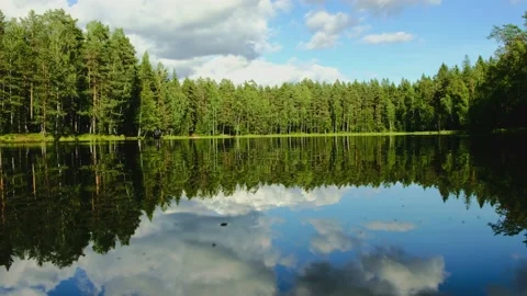Medium close up water shot of forest reflection on a crystal lake in sunny day Stock Footage 147357852