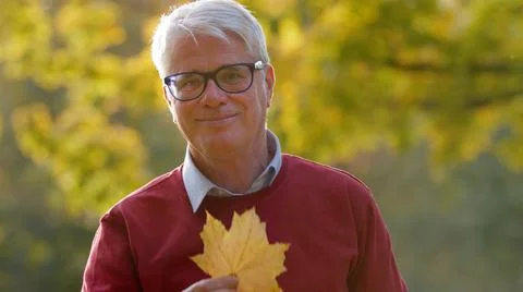 Medium closeup of senior grey-haired man holding a yellow leaf park nature Stock Photos