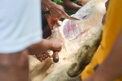 Medium cuts of beef, the best quality fire meat for steaks Stock Photos