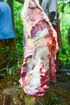 Medium cuts of beef, the best quality fire meat for steaks Stock Photos