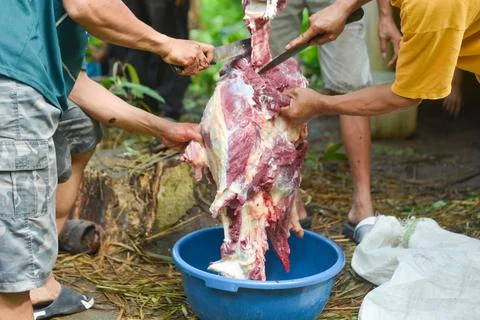 Medium cuts of beef, the best quality fire meat for steaks Stock Photos