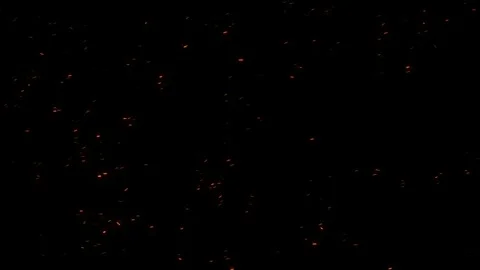 Medium Dense Fire Ember. Ember Particles. Medium Dense Particles Stock Footage 262654236