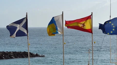 Medium, flags flutter in the wind, Santa Cruz de Tenerife, Spain Stock Footage 140431791