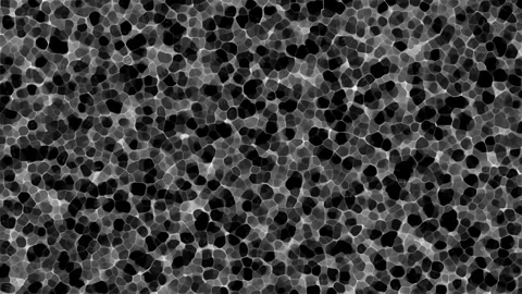 Medium Grayscale Liquid Caustics Pattern Loop Stock Footage 342344617