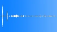 Medium Ground Finch CallsSound Effect