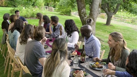 Medium group of people having an outdoor dinner party 動画素材 77083527