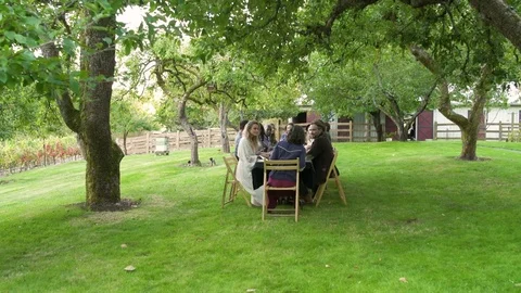 Medium group of people having an outdoor dinner party 動画素材 77083707