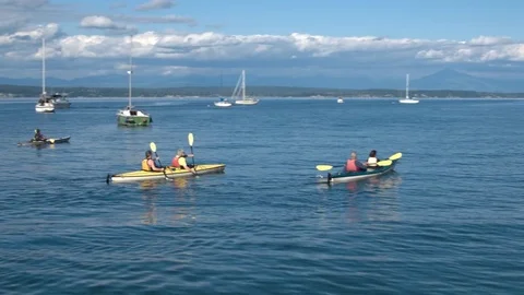 Medium group of people kayaking Stock-Footage 76227634