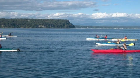 Medium group of people kayaking 動画素材 76228502