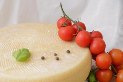Medium hard cheese head parmesan on wooden board, with cheese parmesan with t 写真素材