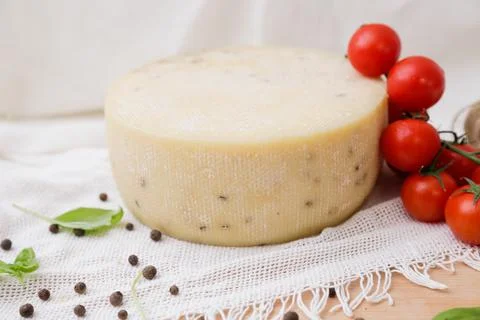 Medium hard cheese head parmesan on wooden board, with cheese parmesan with t 写真素材