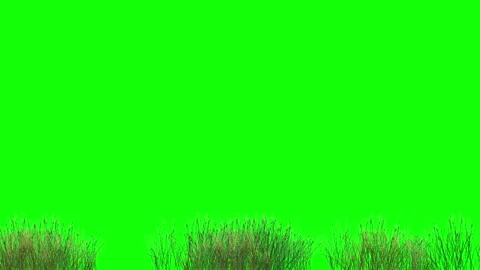 Medium height green grass with smooth motion in 2d animation 스톡 동영상 220337971