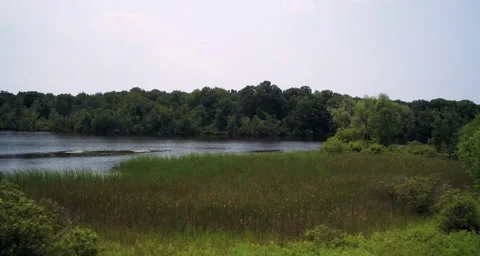Medium to low angle Aerial shot with body of water Stock Footage 54712445