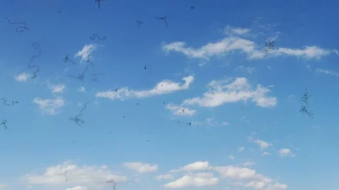 Medium Myodesopsia (Eye Floaters) looking at the Sky Stock Footage 76762297