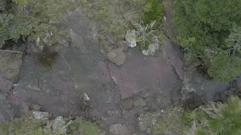 Medium overhead aerial pushes along the Tranquilandia river in Guaviare Vídeos de archivo 109182991