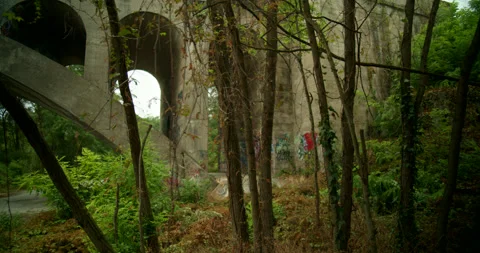 Medium Pan Across Shadowy Grove of Trees Next to Concrete Overpass Bridge DCI 4K Stock Footage 202323950