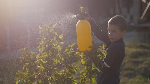 Medium plan boy from a sprayer sprays a young tree in the country Vídeos de archivo 129185309