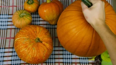 Medium plan. Composition of their leaves and pumpkins. Stock Footage 210178145