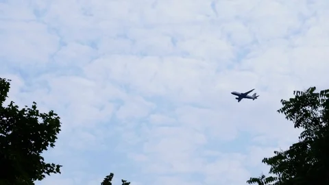 Medium plane flies overhead on partly cloudy day between two tree Stock Footage 106784326