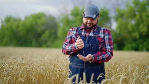 Medium portrait of professional farm worker in field, simple rural lifestyle. Stock Footage 345507966