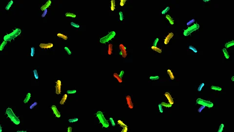 Medium range Germs floating around Stock-Footage 132711254